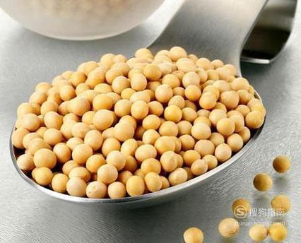 快速瘦身塑形的豆类食物有哪些?