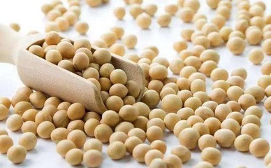惠州豆类食品检测 蚕豆 豌豆豆制品检测
