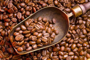 10种世界热门的咖啡风味介绍