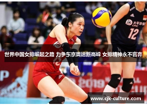 世界中国女排崛起之路 力争东京奥运新高峰 女排精神永不言弃
