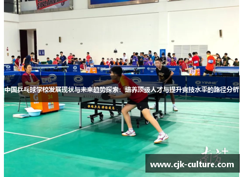 中国乒乓球学校发展现状与未来趋势探索：培养顶级人才与提升竞技水平的路径分析